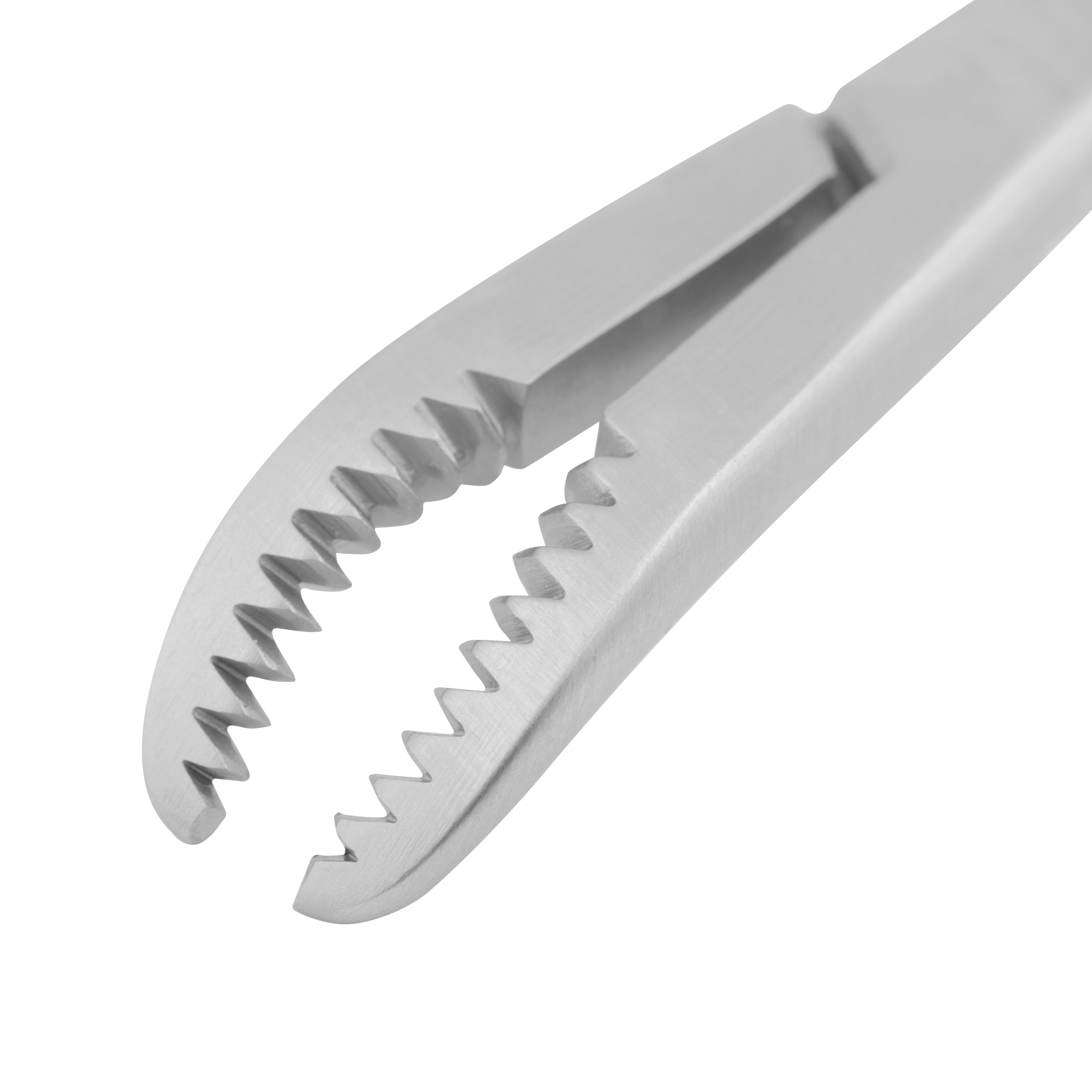 Knogleholdertang, nærbillede